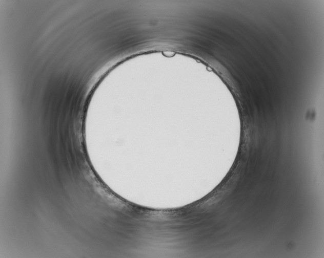 X0000114060904200911161126