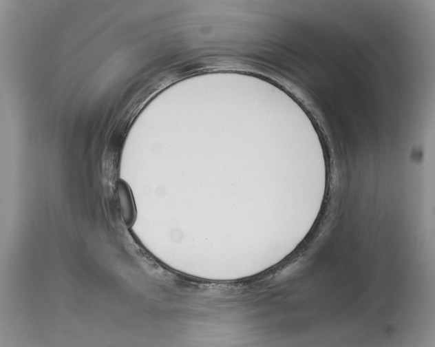 X0000114060905200911161126