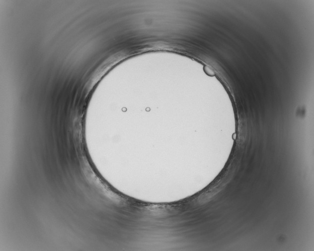 X0000114060906200911161126