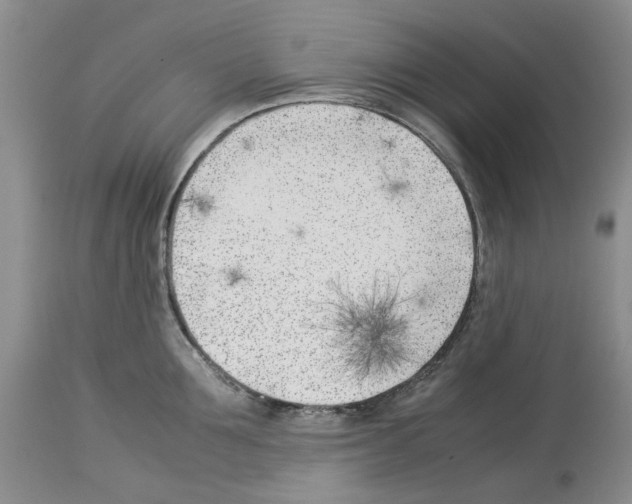 X0000114060907200911161126