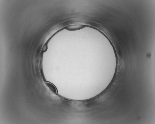 X0000114060909200911161126