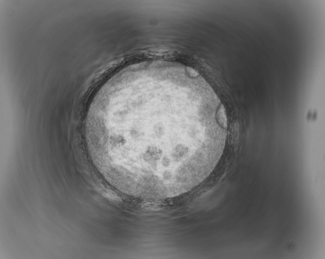 X0000114060913200911161125