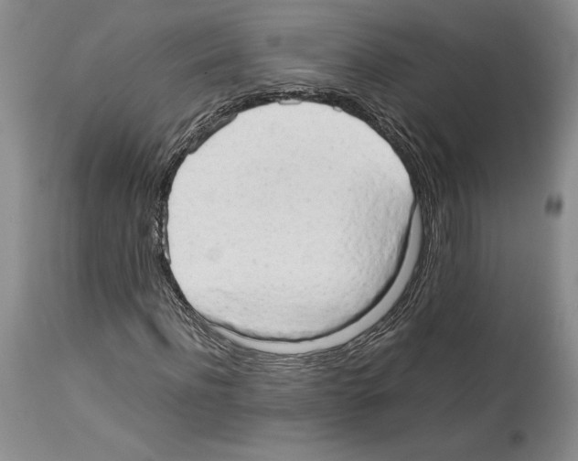 X0000114060916200911161125