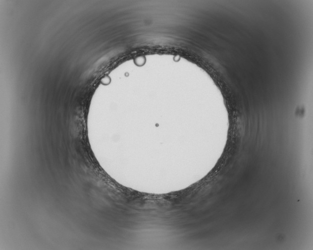 X0000114060918200911161125