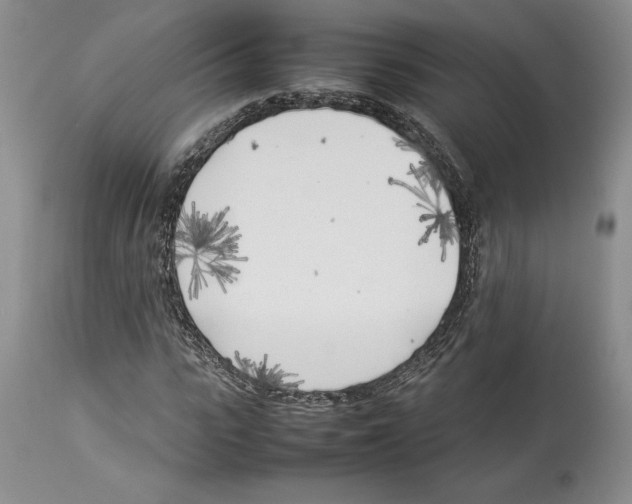 X0000114060919200911161125