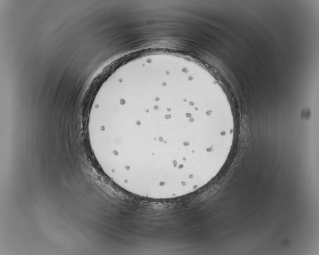 X0000114060923200911161125