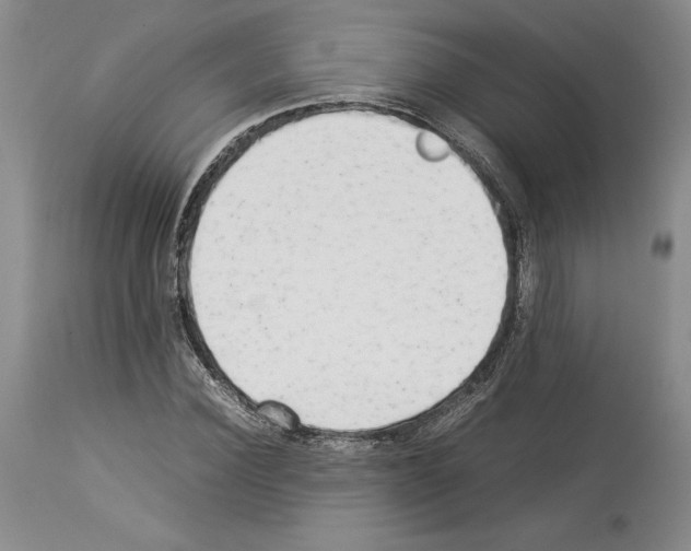 X0000114060924200911161125