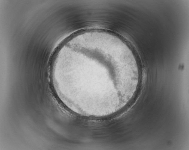 X0000114060925200911161125