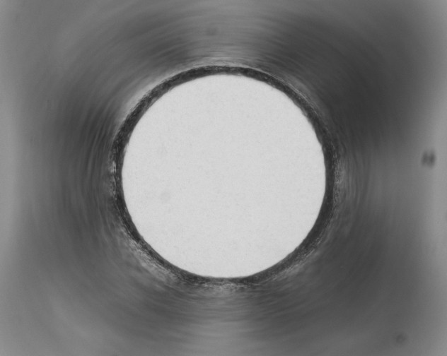 X0000114060926200911161125