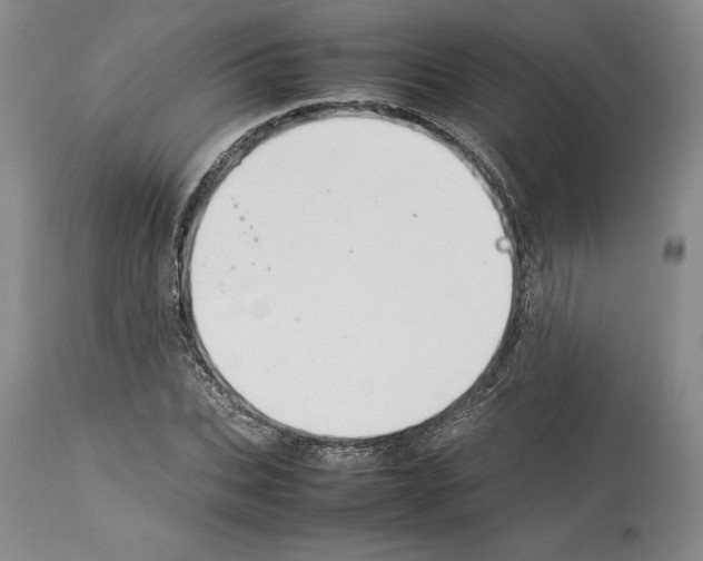 X0000114060927200911161125