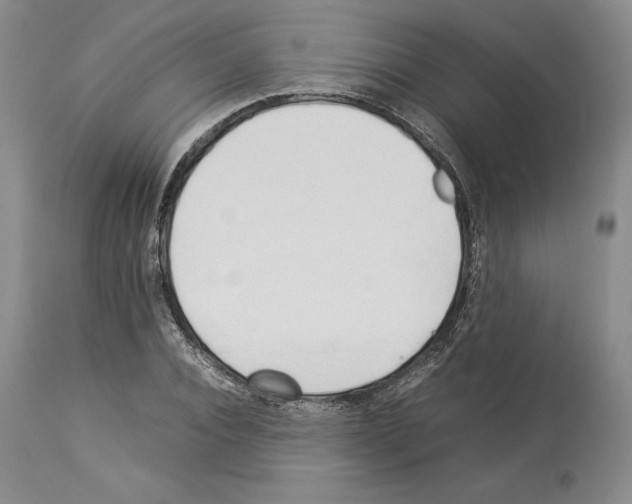 X0000114060928200911161125