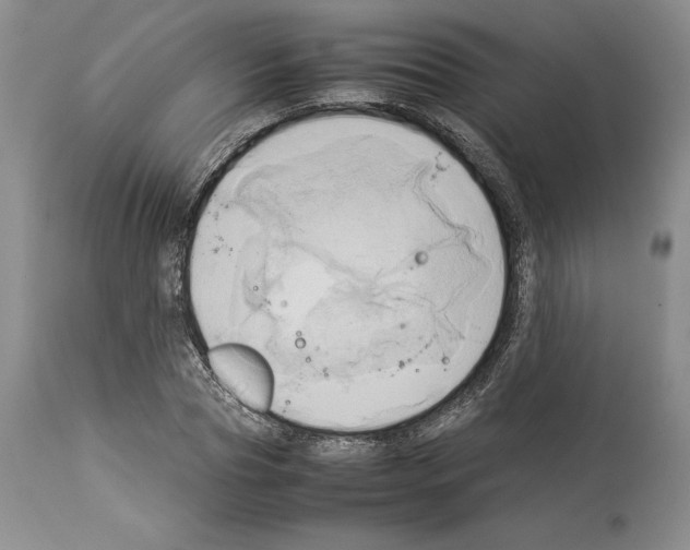 X0000114060929200911161125