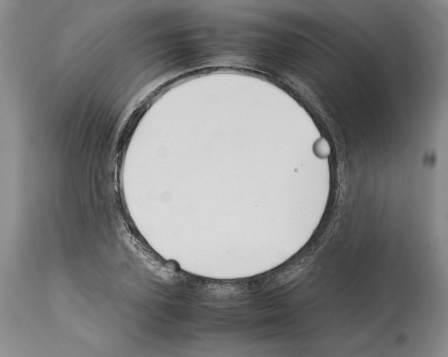 X0000114060931200911161125