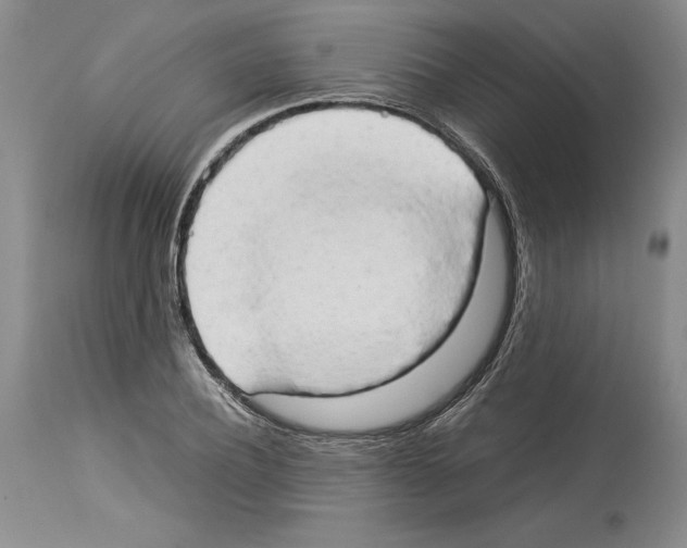 X0000114060932200911161125