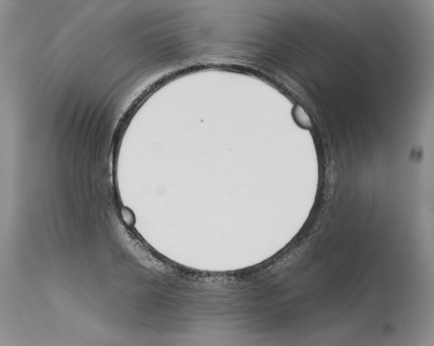 X0000114060934200911161125