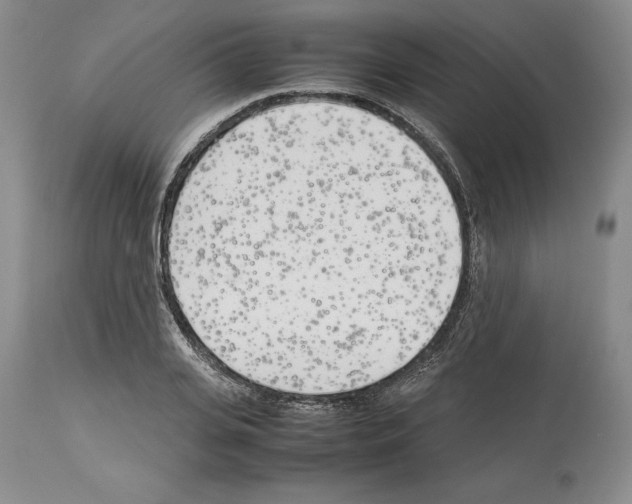 X0000114060935200911161125