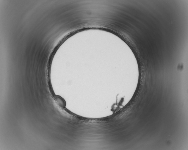 X0000114060942200911161125