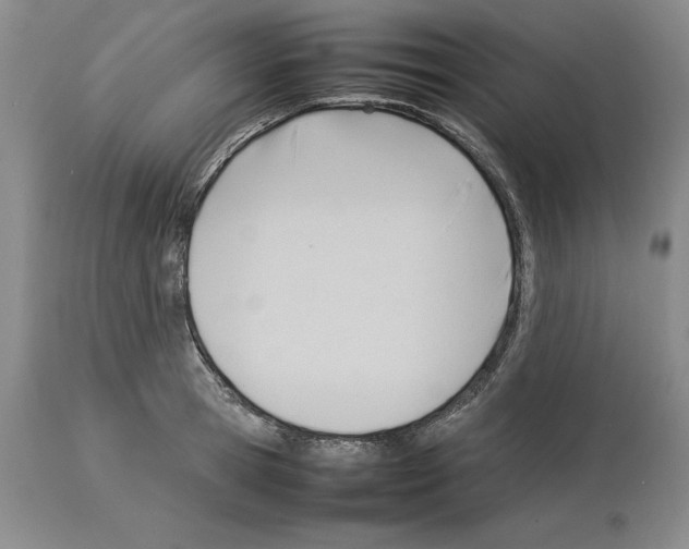 X0000114060945200911161126