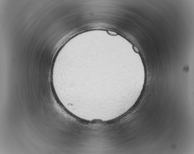 X0000114060946200911161126