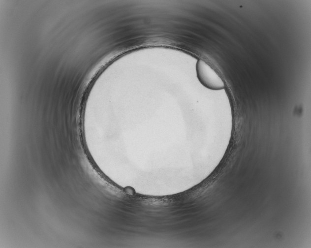 X0000114060947200911161126