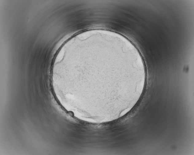 X0000114060949200911161126