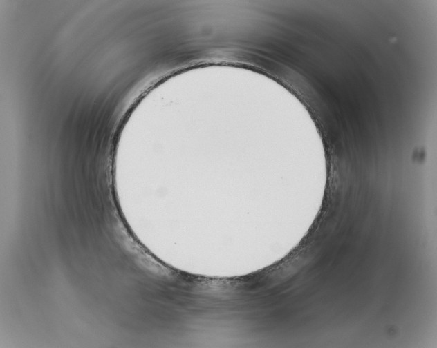 X0000114060950200911161126