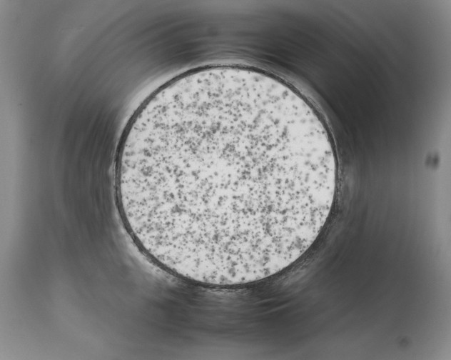 X0000114060951200911161126