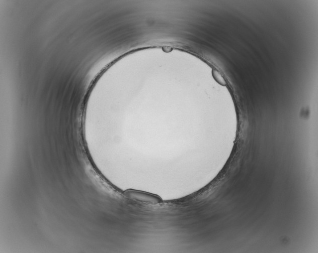 X0000114060952200911161126