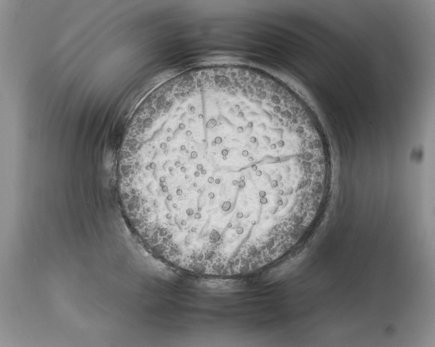 X0000114060953200911161126