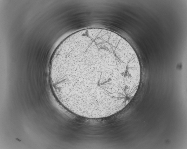 X0000114060955200911161126