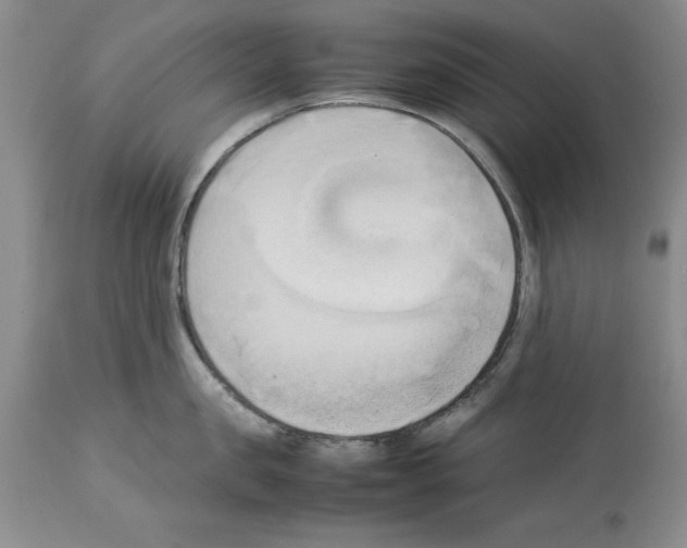 X0000114060957200911161126