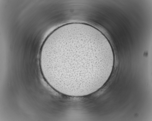 X0000114060958200911161126