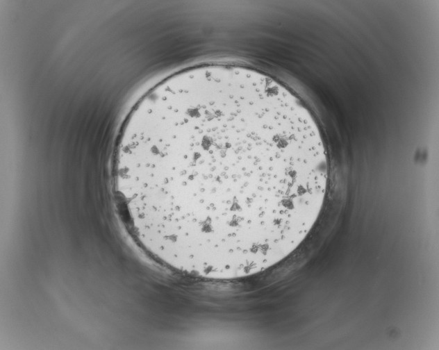 X0000114060959200911161126