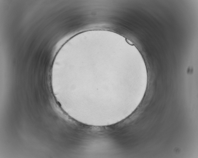 X0000114060960200911161126