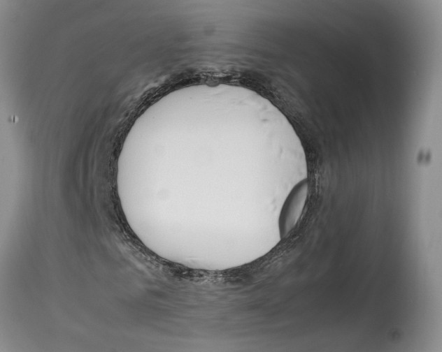 X0000114060961200911161125