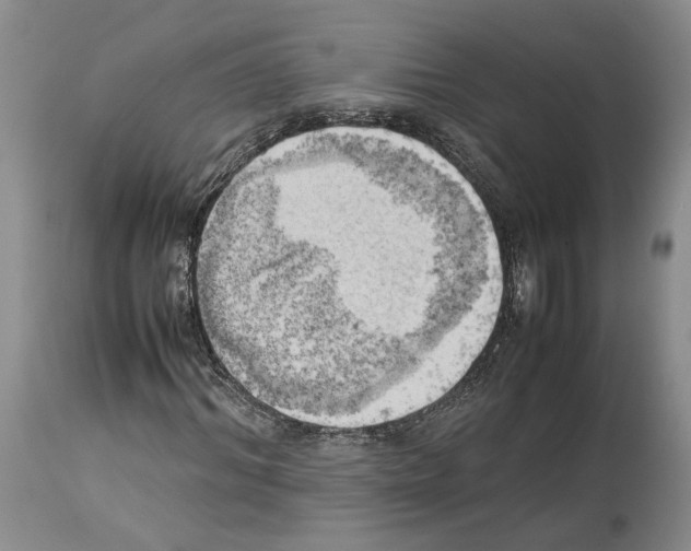 X0000114060964200911161125