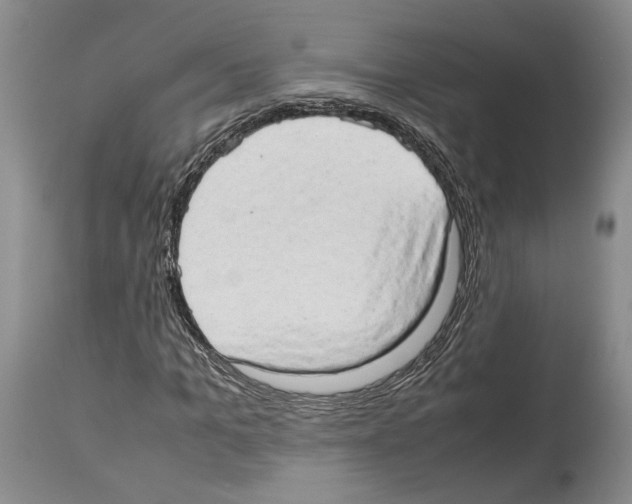 X0000114060965200911161125