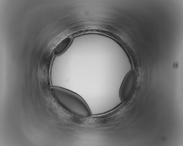 X0000114060969200911161125