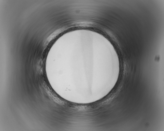 X0000114060970200911161125