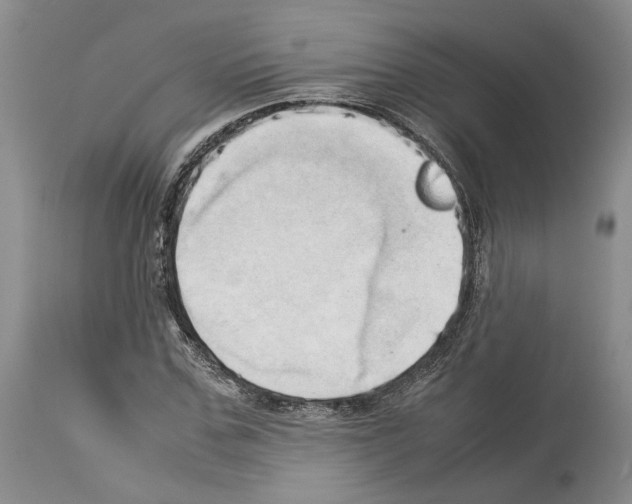 X0000114060971200911161125