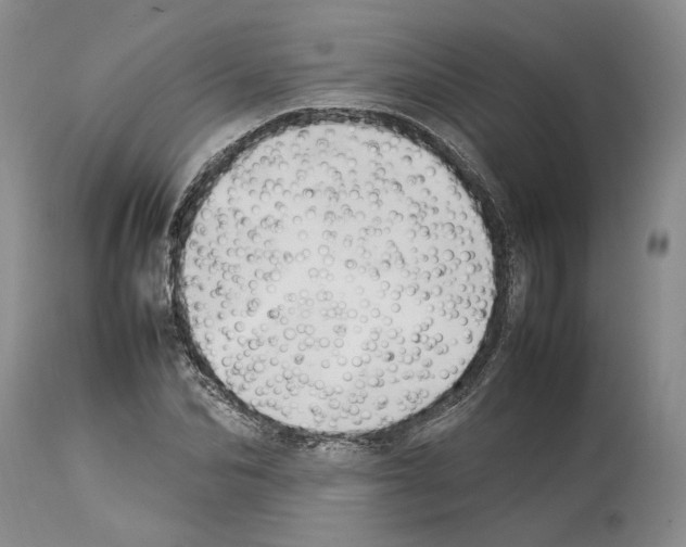 X0000114060974200911161125