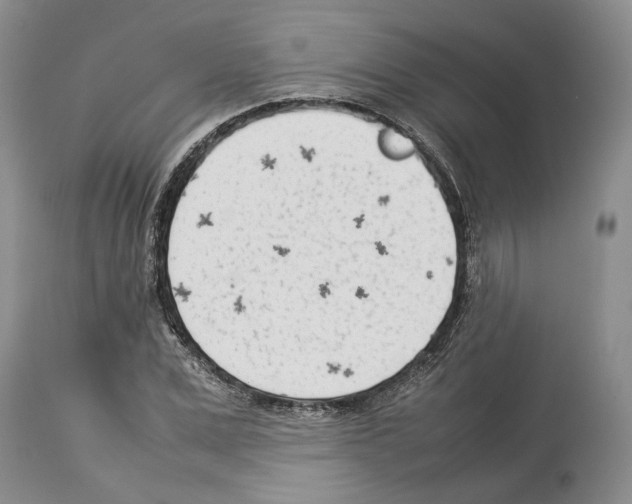 X0000114060975200911161125