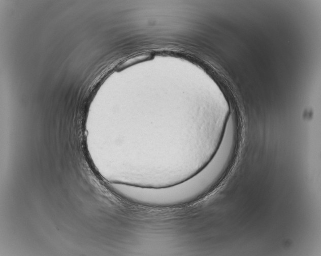 X0000114060977200911161125