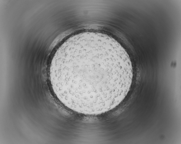 X0000114060978200911161125