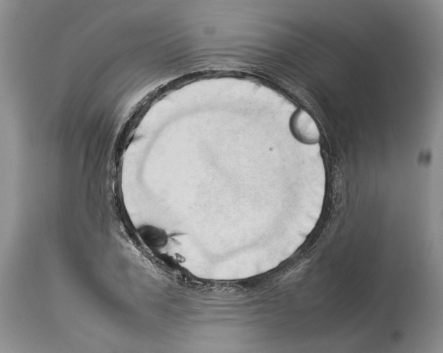 X0000114060979200911161125