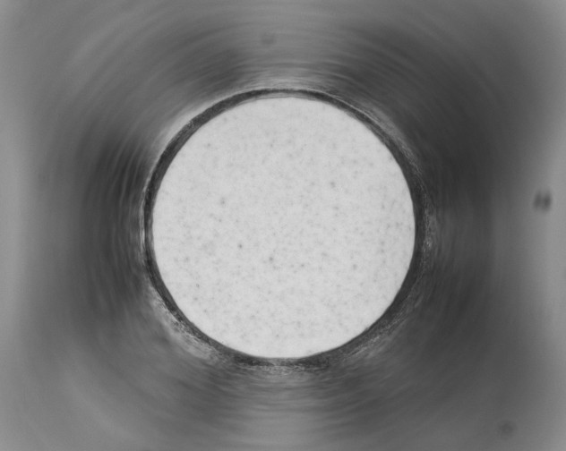 X0000114060980200911161125