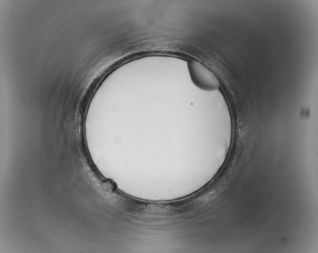 X0000114060981200911161125