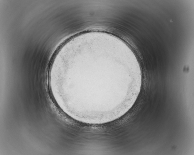 X0000114060984200911161125