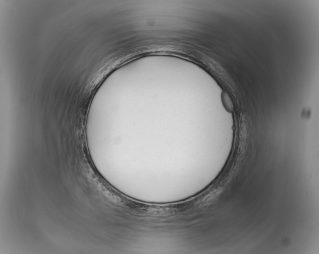 X0000114060985200911161125