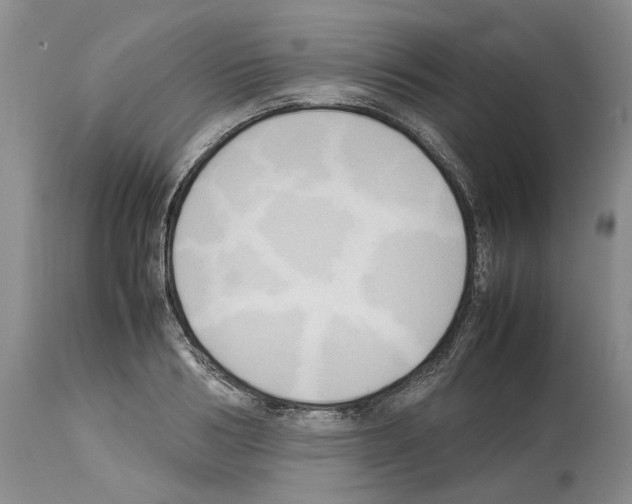 X0000114060986200911161125